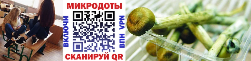 Псилоцибиновые грибы Cubensis  Нюрба 